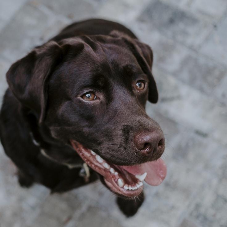 Prithvi Khandelwal, Client Relations Director, discussing corporate gifting strategy with business clients